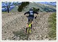 3D Mountain Bike